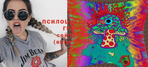 ешки Абаза