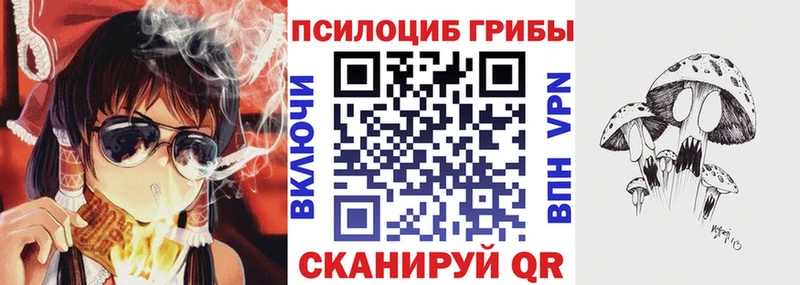 кракен рабочий сайт  Ростов-на-Дону  Галлюциногенные грибы Cubensis  закладки 